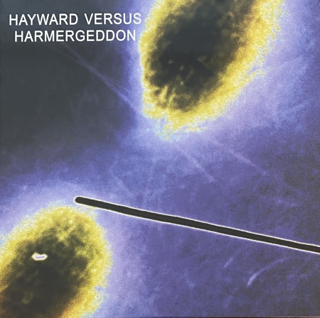Hayward Versus Harmergeddon