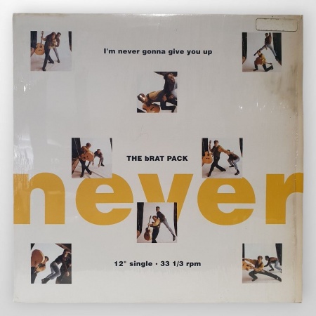 I\'m Never Gonna Give You Up
