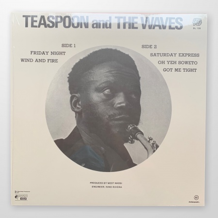 Teaspoon & The Waves