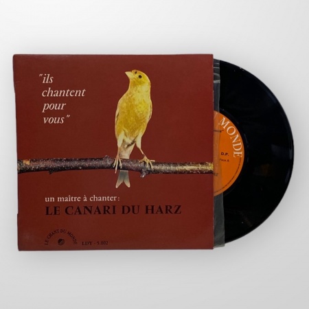 Un Maître À Chanter : Le Canari Du Harz