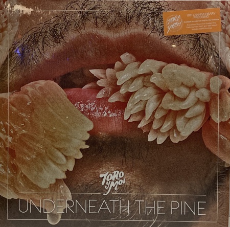 Underneath The Pine